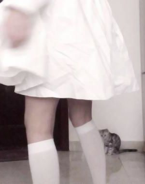 【152】《卧底太成功，嫌犯求我去上班[九零]》by月海妖后