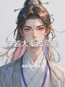 穿越大秦做帝婿阅读